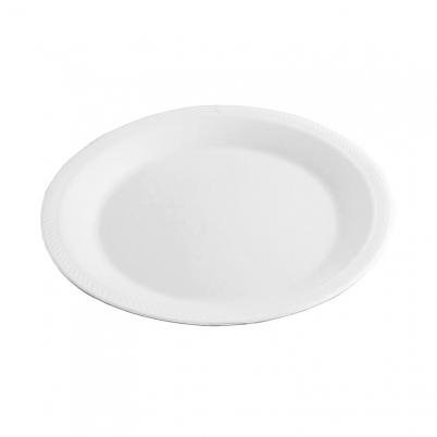 Plato 26
